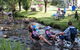 Marysville Caravan And Holiday Park - thumb 9
