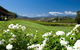 Balgownie Estate Vineyard Resort & Spa - thumb 36