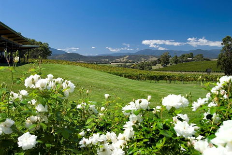 Balgownie Estate Vineyard Resort & Spa - Bet 4u 36