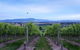 Balgownie Estate Vineyard Resort & Spa - thumb 37