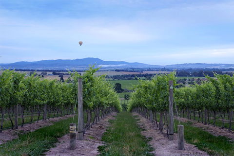Balgownie Estate Vineyard Resort & Spa - Bet 4u 37