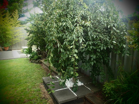 Azen Haven - Click Find 12