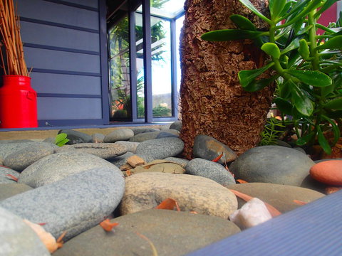 Azen Haven - Click Find 11