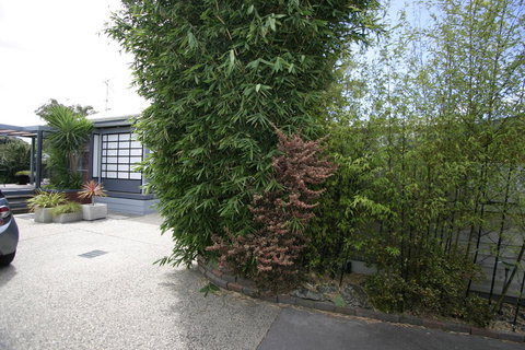 Azen Haven - Click Find 24