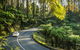 Lithgow Falls Marysville - thumb 15