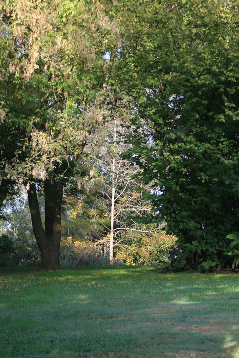 Strathmore Farm B&B - Bet 4u 26