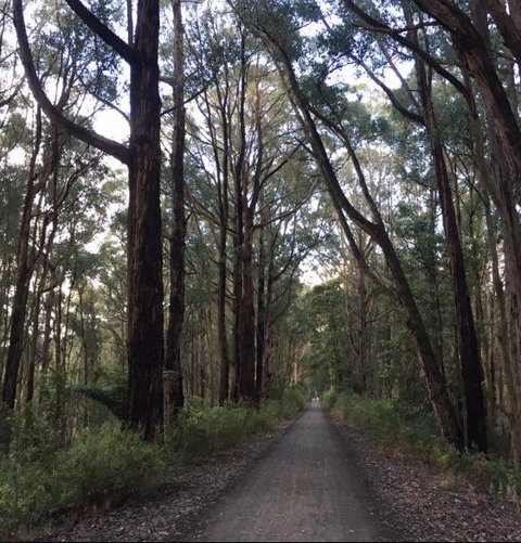 Strathmore Farm B&B - Bet 4u 4