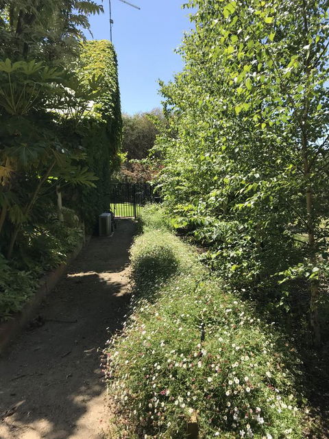 The Fingal Farm - Click Find 26