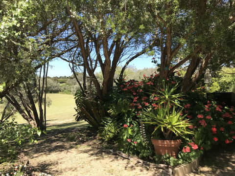 The Fingal Farm - Click Find 9