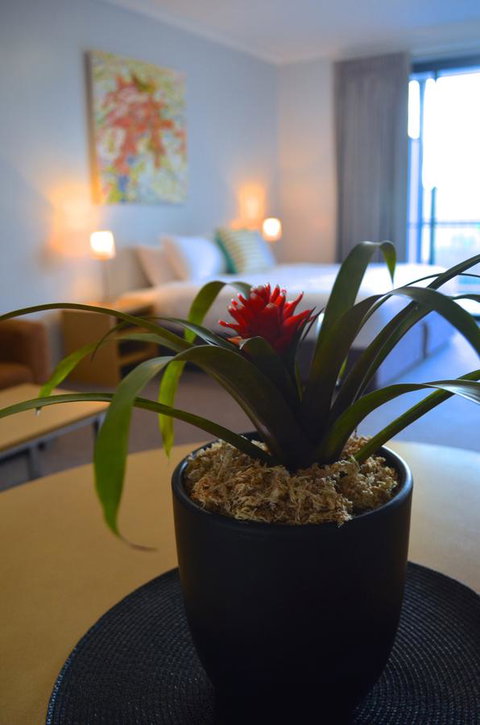 Mansfield Apartments - Bridge Guide 21