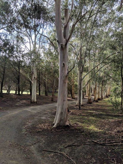 Kangaroo Manor - Click Find 10