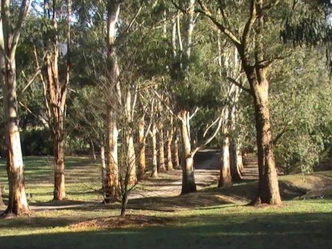 Kangaroo Manor - Click Find 21