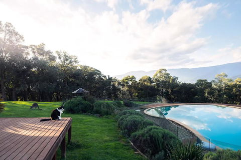 Kangaroo Manor - Click Find 23