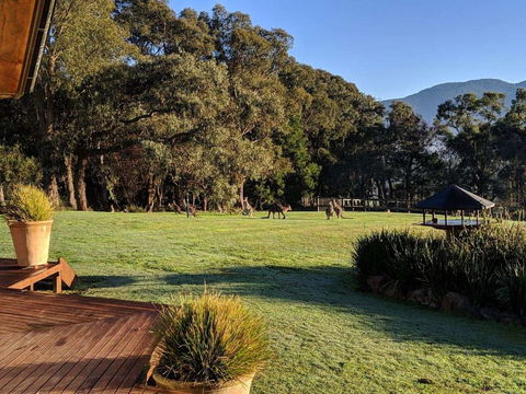 Kangaroo Manor - Click Find 5
