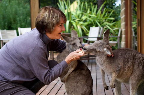 Kangaroo Manor - Click Find 20
