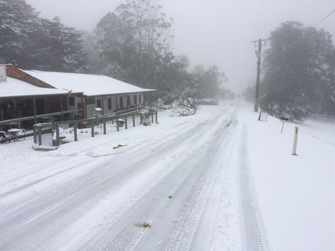Tarra Bulga Guesthouse - DBD 8