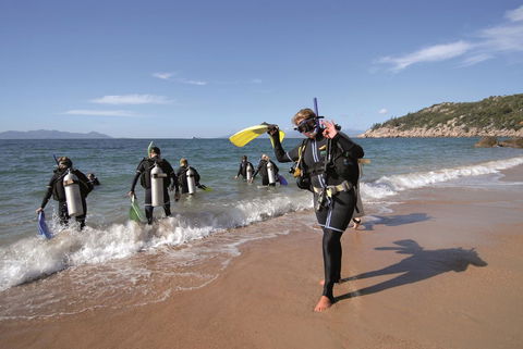 Base Backpackers Magnetic Island - Bet 4u 39