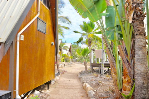 Base Backpackers Magnetic Island - Bet 4u 26