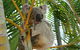 Amaroo On Mandalay - thumb 44