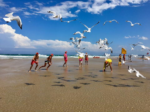 Hi Ho Beach Front Apartments On Broadbeach - Bet 4u 31