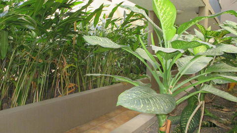 Edge Apartments Cairns - Bridge Guide 39
