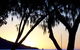 Maggies Beachfront Apt. 12 - thumb 3