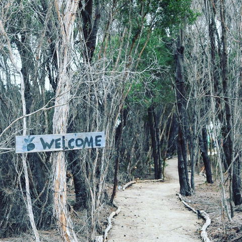 Flinders Island Glamping - DBD 0