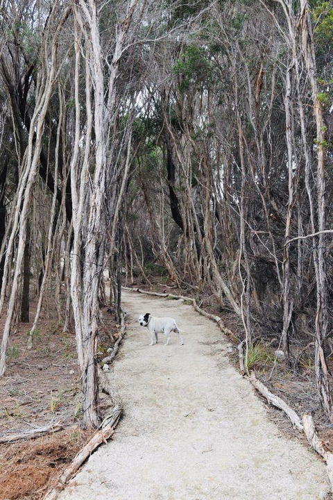 Flinders Island Glamping - DBD 12