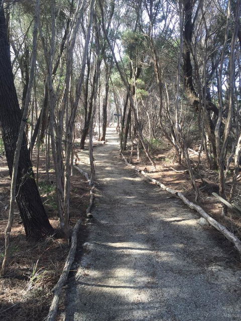 Flinders Island Glamping - DBD 1