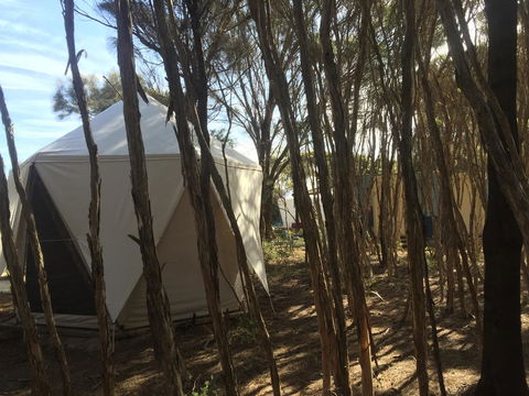 Flinders Island Glamping - DBD 7