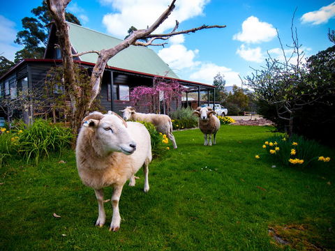 Parnella Adventure Bay, Bruny Island - Click Find 19