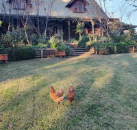 Angaston by the Winter Creek - Click Find