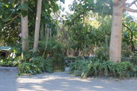 Avoca Park