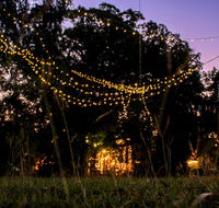 Banyan Tree - Bet 4u