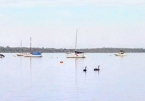 Beautiful, Peaceful Estuary Views, Five Star Quantity - Click Find 3