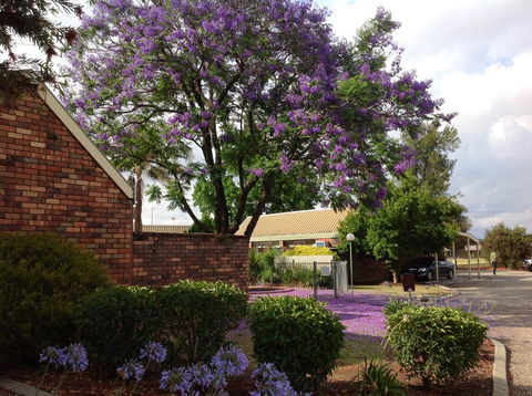 Belvoir Village Motel & Apartments Wodonga - Bet 4u 0