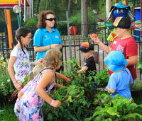 BIG4 Koala Shores Holiday Park