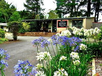 Business in Blackheath NSW DBD DBD