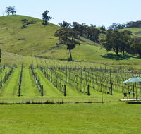 Blue House at Mountainside Wines - Click Find