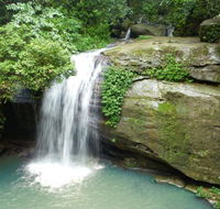 Buderim Forest Hideaway - DBD