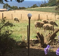 Cape View B and B - Bet 4u