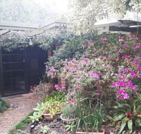 Charming country house close to Grafton - DBD
