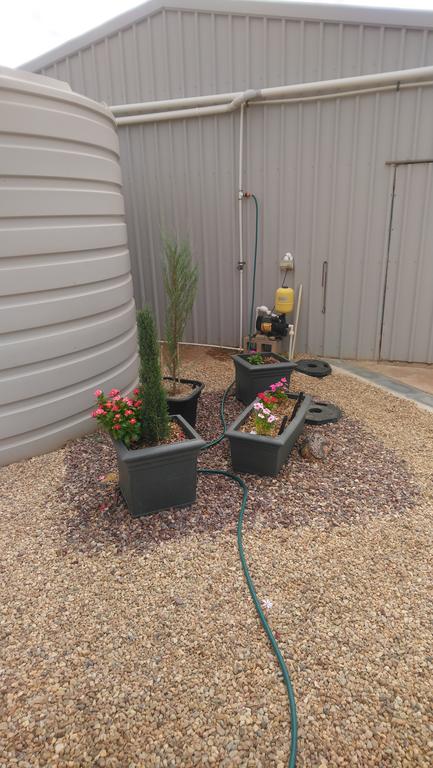 Chrissie's Dongara - Click Find 2