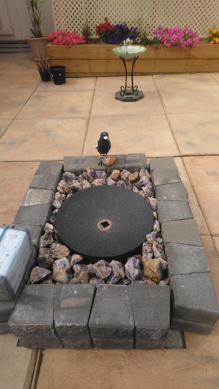 Chrissie's Dongara - Click Find 1