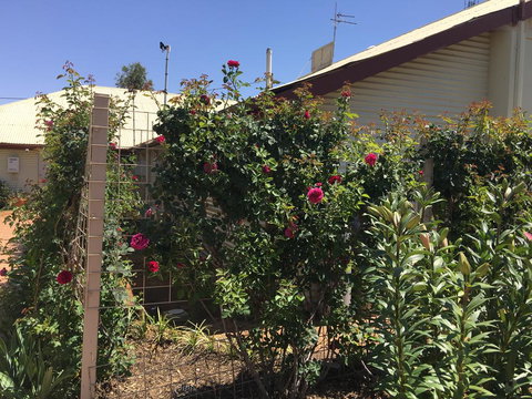 Club Boutique Hotel Cunnamulla - Bet 4u 2