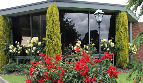 Comfort Inn Cedar Lodge - Bet 4u 1