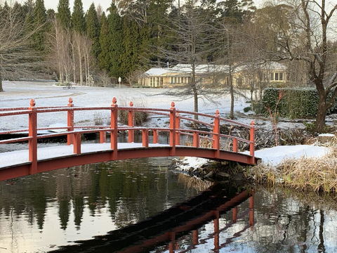 COOKS HOUSE - Click Find 0