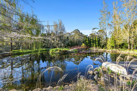 COOKS HOUSE - Click Find 1