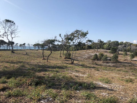 COONARR BEACH ( BUNDABERG )CAMPING - DBD 2