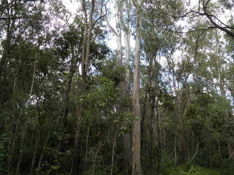 Coucals Cottage - Bet 4u 3